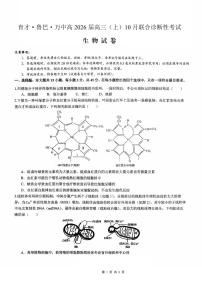 重庆育才中学、鲁能巴蜀中学、万州高级中学高2026届高三10月联合考试生物试卷（无答案）
