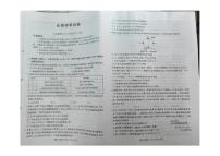 辽宁省县域重点高中2025-2026学年高三上学期期中考试生物试卷