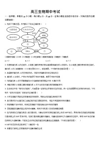 吉林省通化市梅河口市第五中学2025-2026学年高三上学期10月期中考试生物试卷
