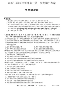 广东省部分学校2026届高三上学期11月期中联考生物试卷（含答案）