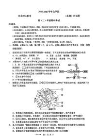 吉林省东北师范大学附属中学2025-2026学年高二上学期期中生物试题