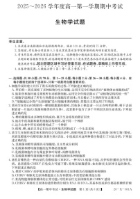 广东省深圳市深圳盟校2025-2026学年高一上学期11月期中考试生物试卷