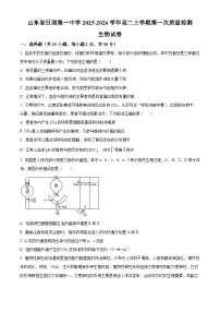 山东省日照第一中学2025-2026学年高二上学期10月考试生物试卷