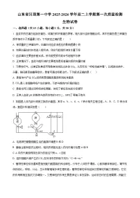 山东省日照第一中学2025-2026学年高二上学期10月考试生物试卷