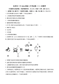湖南省长沙市第一中学2026届高三上学期月考（三）生物试卷（Word版附解析）
