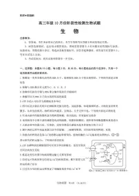 山东省济南市山东师范大学附属中学2025-2026学年高三上学期10月阶段性检测生物试题（含答案）含答案解析