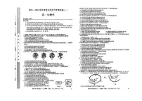 陕西省宝鸡市2025-2026学年高一上学期同步月考测试一（10月期中）生物试卷（扫描版，有答案）含答案解析