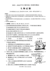 山西省吕梁市2025-2026学年高三上学期阶段性测试生物试题（含答案）含答案解析
