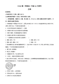 河北省NT20联考2025-2026学年高一上学期10月月考生物试题（原卷版）