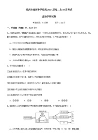 重庆市渝西中学2025-2026学年高二上学期10月月考生物试卷