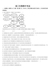 吉林省通化市梅河口五中2026届高三上学期10月期中考生物试题+答案