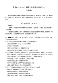 贵州省贵阳市七校2025—2026学年高二上学期第一次联合考试生物试题（月考）