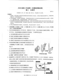 广东省深圳市龙岗区2025-2026学年高三上学期11月期中生物试题