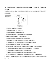 河北省邯郸市邯山区九校联考2025-2026学年高二上学期10月一调考试 生物试卷