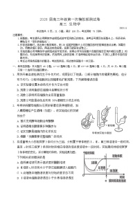 广东省深圳市2026届高三上学期高考第一次模拟考试生物试卷