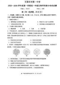河北省石家庄市第一中学2025-2026学年高一上学期期中考试生物试题