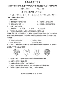 河北省石家庄市第一中学2025-2026学年高一上学期期中考试生物试题
