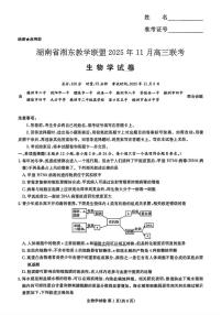 2025年湖南湘东教学联盟高三上学期11月生物试题及答案