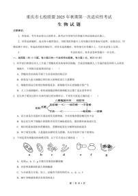 重庆市七校联盟2025年秋期高三上学期第一次适应性考试生物（无答案）