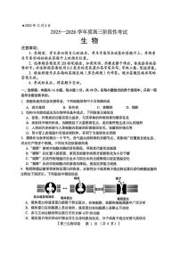 河南省三上学期门峡市2026届高三上学期11月阶段性考生物试卷+答案