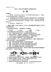 河南省三门峡市2025-2026学年高三上学期11月考试生物试卷