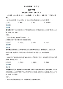精品解析：河北省衡水市冀州区河北冀州中学2025-2026学年高一上学期10月月考生物试题（解析版）