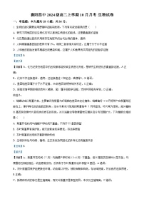 湖北省襄阳市第四中学2025-2026学年高二上学期10月月考生物试题含解析