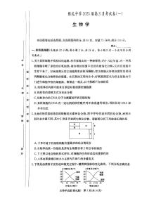 湖南省长沙市雅礼中学2024-2025学年高三上学期月考卷（一）生物试卷