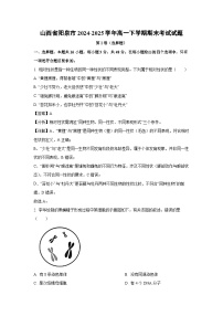 【生物】山西省阳泉市2024-2025学年高一下学期期末考试试题（学生版+解析版）