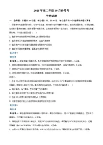 山东省济宁市第一中学2025-2026学年高二上学期10月月考生物试题（解析版）