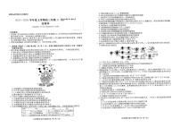 2025年点石联考高三上学期11月期中生物试题及答案