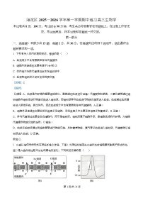 北京市海淀区2025-2026学年高三上学期期中考试 生物 Word版含解析