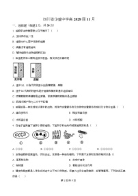四川省广安市华蓥中学2025-2026学年高一上学期11月期中生物试卷（Word版附解析）