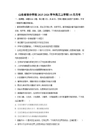 山东省部分学校2025-2026学年高三上学期10月月考生物试卷（学生版）