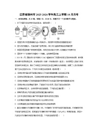 江苏省扬州市2025-2026学年高三上学期10月月考生物试卷（学生版）