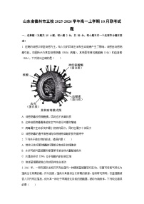 山东省德州市五校2025-2026学年高一上学期10月联考生物试卷（学生版）