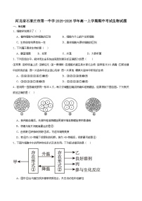 河北省石家庄市第一中学2025-2026学年高一上学期期中考试生物试题（Word版附答案）