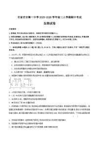 河北省石家庄市第一中学2026届高三上学期11月期中考试生物试题（Word版附答案）