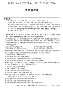 广东省部分学校2026届高三上学期11月期中联考生物试卷（含答案）