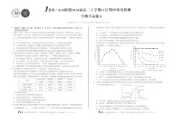 安徽1号卷A10联盟2026届高三上学期11月期中考试生物试卷