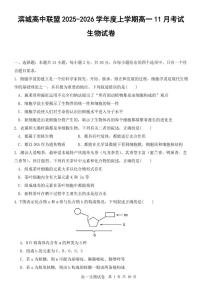 辽宁省大连市滨城高中联盟2025-2025学年上学期高一生物学期中考试试卷（含答案及解析）