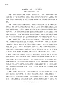 四川省百师联盟2026届高三上学期11月阶段检测生物试题（含答案）