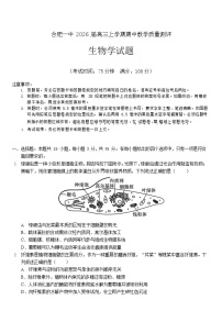 安徽省合肥一中2025-2026学年高三上学期期中考试生物试卷