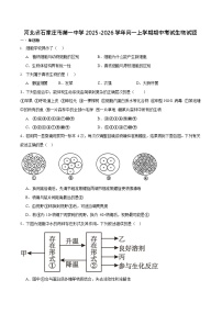 河北省石家庄市第一中学2025-2026学年高一上学期期中考试 生物试卷