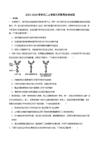 山东省德州市九校联考2025-2026学年高二上学期11月期中考试生物试卷
