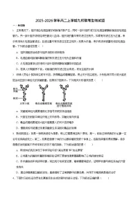 山东省德州市九校联考2025-2026学年高二上学期11月期中考试生物试卷