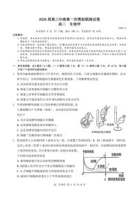 2026届深圳市高三年级第一次模拟联测试卷(生物试卷)（无答案）