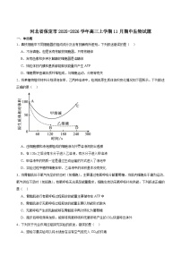 河北省保定市2026届高三上学期11月期中考试 生物 含答案