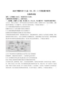 江西省赣州市十八县24校联考2026届高三上学期11月期中考生物试题+答案