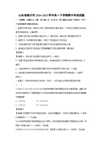 【生物】山东省临沂市2024-2025学年高一下学期期中考试试题（学生版+解析版）